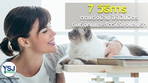 7 วิธีตกแต่งบ้านให้เป็นมิตรกับทั้งคนและสัตว์เลี้ยงแสนรัก